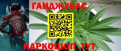 стаф Железногорск